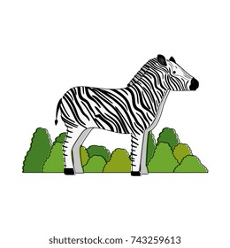 wild zebra isolated icon