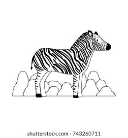 wild zebra isolated icon