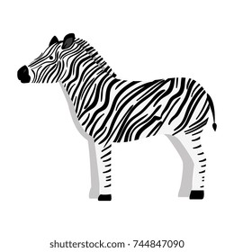 wild zebra isolated icon