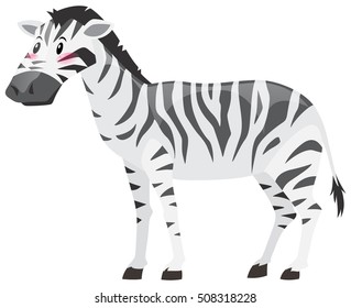 Wild zebra on white background illustration