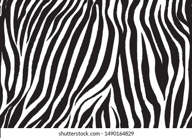 wild zebra wave pattern with black and white.