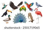 Wild and zoo different birds cartoon set. Birds portrait collection of toucan, pigeon and peacock, flamingo and duck. Flying cartoon hummingbird, macaw and eagle, lovebirds, owl vector illustration