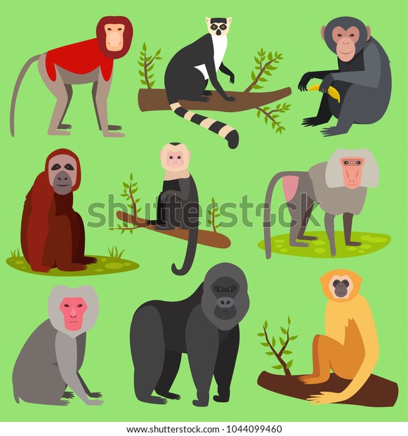 Wild Zoo Jungle Animals Isolated Stock Vector (Royalty Free) 1044099460 ...