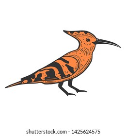 Wildbird hoopie. Vector concept in doodle and sketch style. Hand drawn illustration for printing on T-shirts, postcards.