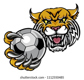 A wildcat angry animal sports mascot holding a soccer football ball 