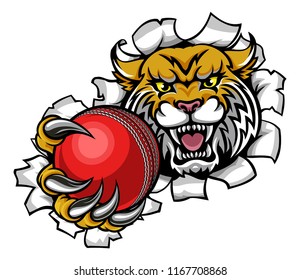 A wildcat angry animal sports mascot holding a cricket ball and breaking through the background with its claws