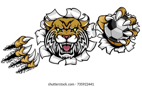 A wildcat angry animal sports mascot holding a soccer football ball and breaking through the background with its claws