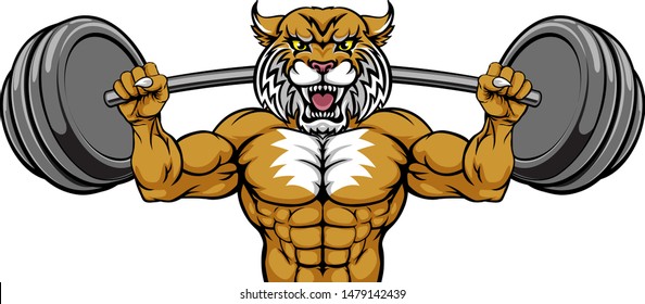 A wildcat animal body builder sports mascot weight lifting a barbell 