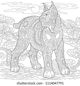 Wildcat. Coloring Page. Colouring picture. Adult Coloring Book idea. Freehand sketch drawing. Vector illustration.
