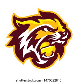 Bobcat Mascot Logo Images Stock Photos Vectors Shutterstock