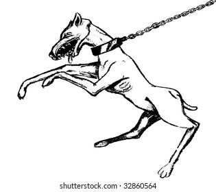 wilddog illustration