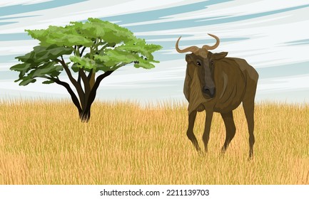 Wildebeest in the African savanna with tall grass and a single tree on the horizon. Realistic vector landscape