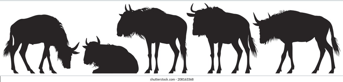 Wildebeest, gnu antelope, African safari wild animal vector silhouettes