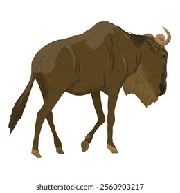 Wildebeest gnu. Realistic vector animals