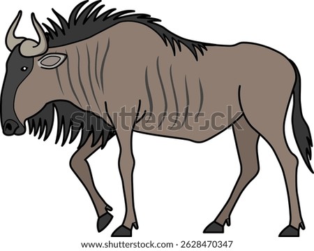 The wildebeest isolated on white background