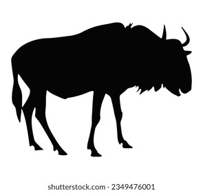 Wildebeest Silhouette on White Background.
