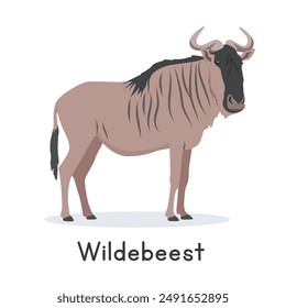 Wildebeest vector illustration, cartoon clipart character, animal in flat style. Wild animals, wild creatures, wildlife concept. Blue wildebeest vector design isolated on white background