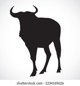 A wilderbeast vector  in nature at Stand on white background