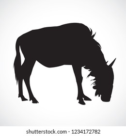 A wilderbeast vector  in nature at Stand on white background