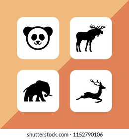 wilderness icon. 4 wilderness set with africa, deer, moose and panda vector icons for web and mobile app