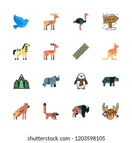 wilderness icon set. vector set about zebra, kangaroo, north pole and reindeer icons set.