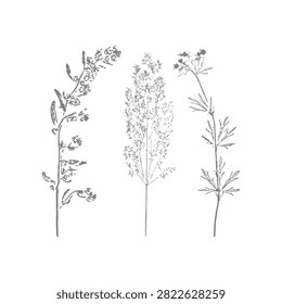 Wildfield herbal twigs ink stamp prints in gray monochrome palette for rustic botanical decor, handmade packaging, wedding stationery and eco branding.