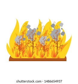 Wildfire in Amazonia. Natural disaster. Vector illustration.