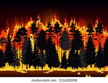 Wildfire danger disaster of forest fire flames. Burning vector pine trees and bushes nature background of forest fire at night with smoke clouds, burnt trees black silhouettes, environment protection