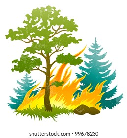 wildfire disaster and burning