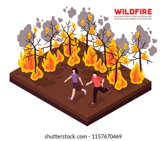 Wildfire isometric composition with people running away from flame of burning forest trees vector illustration