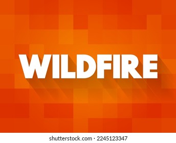 Wildfire is an unplanned fire that burns in a natural area such as a forest, text concept for presentations and reports