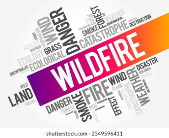 Wildfire is an unplanned fire that burns in a natural area such as a forest, word cloud concept background