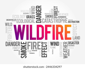 Wildfire is an unplanned fire that burns in a natural area such as a forest, word cloud concept background