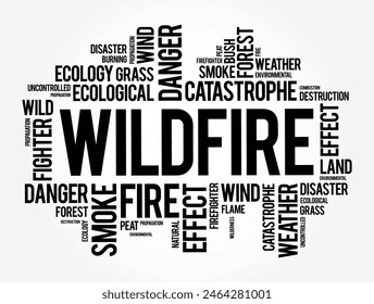 Wildfire is an unplanned fire that burns in a natural area such as a forest, text concept for presentations and reports