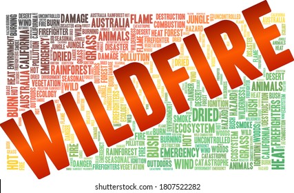 Wildfire vector illustration word cloud isolated on a white background.