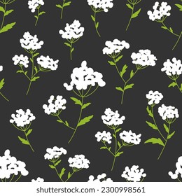 Wildflower bedstraw galium white flower seamless pattern flat. Meadow herb floral branch fashion fabric textile natural skin care cosmetic wallpaper cover web wrapping print black background vector