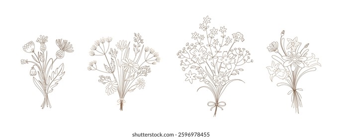 Wildflower blooms bouquets, flowering plants bunch romantic composition line sketch isolated set. Elegant botanical meadow flowers, festive blossoms art contour drawing collection vector illustration