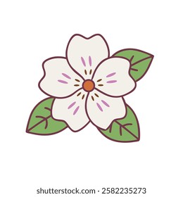 wildflower botanical with delicate petals