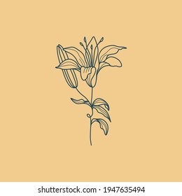 Wildflower Botanical logo outline drawing. Minimal floral vintage style. Doodle plant vector illustration. Pure nature organic brush. Line drawing. Botanical floral badge. Eco product emblem.