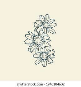 Wildflower Botanical logo outline drawing. Minimal floral vintage style. Doodle plant vector illustration. Pure nature organic brush. Line drawing. Botanical floral badge. Eco product emblem.