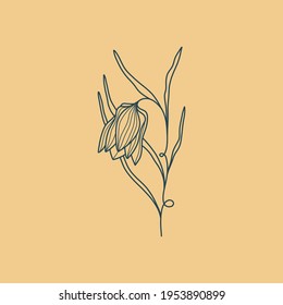 Wildflower Botanical logo outline drawing. Minimal floral vintage style. Doodle plant vector illustration. Pure nature organic brush. Line drawing. Botanical floral badge. Eco product emblem.