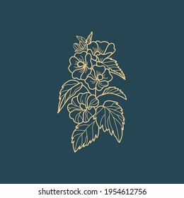 Wildflower Botanical logo outline drawing. Minimal floral vintage style. Doodle plant vector illustration. Pure nature organic brush. Line drawing. Botanical floral badge. Eco product emblem.