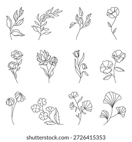 Conjunto de boceto botánico de flores silvestres. Vector blanco y negro arte de la línea de subgrupos florales florecientes para el diseño del tatuaje o del logotipo