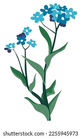 Plantas botánicas de flores silvestres, césped aislado de ojos azules con pétalos tiernos y florecientes. Matthiola silvestre aromática, vegetación de campo o pradera y hojas de floración de campo. Vector de estilo plano