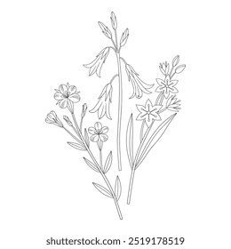 Wildflower bouquet with bellflower and gagea. Meadow flowers and wild plants. Line art, minimal style, contour. Botanical hand-drawn elements for design projects. Vector illustration