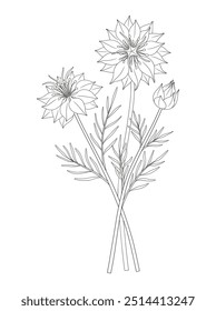 Wildflower bouquet. Nigella or love-in-a-mist flowers, blooming wild plants with leaves, buds. Line art, minimal style, contour. Botanical hand-drawn elements for design projects. Vector illustration