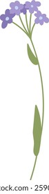 Wildflower Branch Hand Drawn Vector Illustration