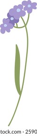 Wildflower Branch Hand Drawn Vector Illustration