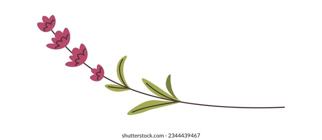 Wildflower Branch With Leaves Vector Illustration