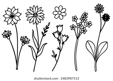 Wildflower bundle art illustration bringing natural beauty to artistic creations